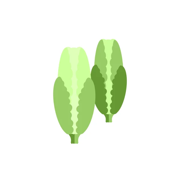 Col icono de color vegetal vector plano — Vector de stock