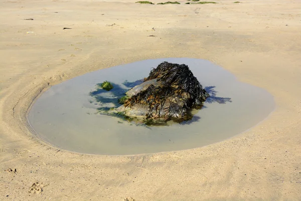 Roccia sulla spiaggia sabbiosa, Newquay, Cornovaglia, Inghilterra — Foto Stock