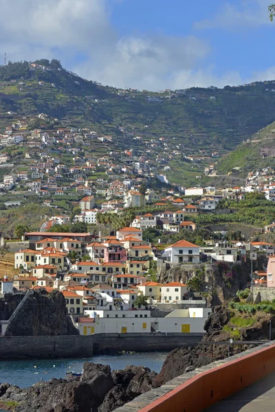 Камара-де-Лобос, Мадейра, Португалія — стокове фото