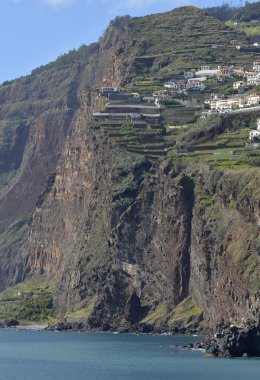 Kayalıklarla tarafından Camara de Lobos, Madeira, Portekiz
