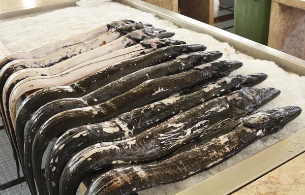 Black Scabbard fish in market, Funchal, Madeira, Portugal — Stock Photo, Image