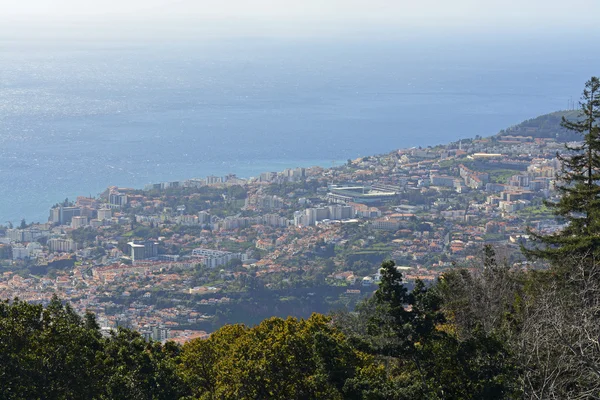 Uitzicht over Funchal, Madeira, Portugal — Stockfoto