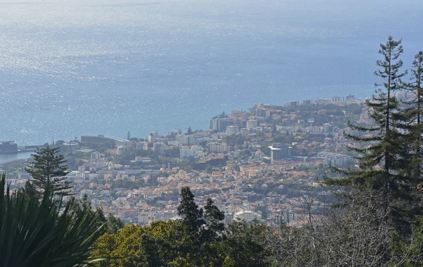 Uitzicht over Funchal, Madeira, Portugal — Stockfoto