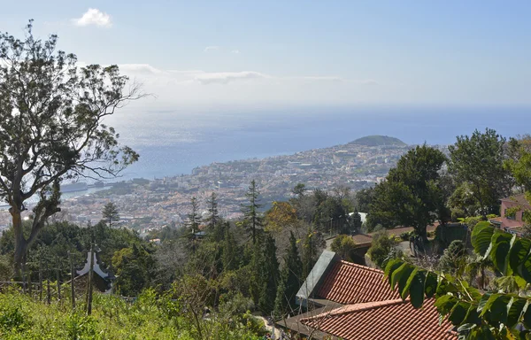 Uitzicht over Funchal, Madeira, Portugal — Stockfoto