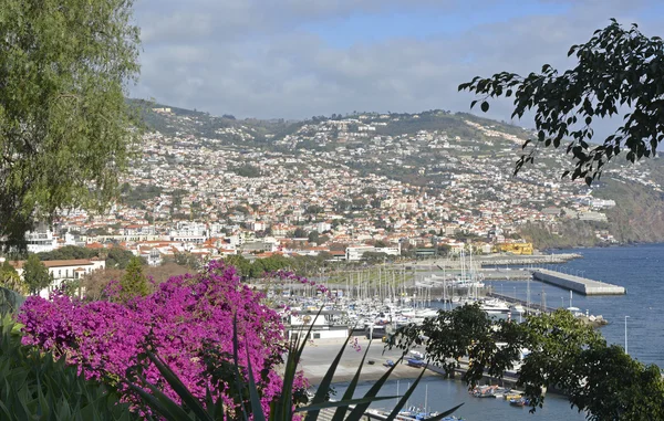 Strandpromenade von Funchal von oben, Madeira, Portugal — Stockfoto