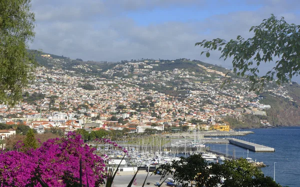 Kust van Funchal van bovenaf, Madeira, Portugal — Stockfoto