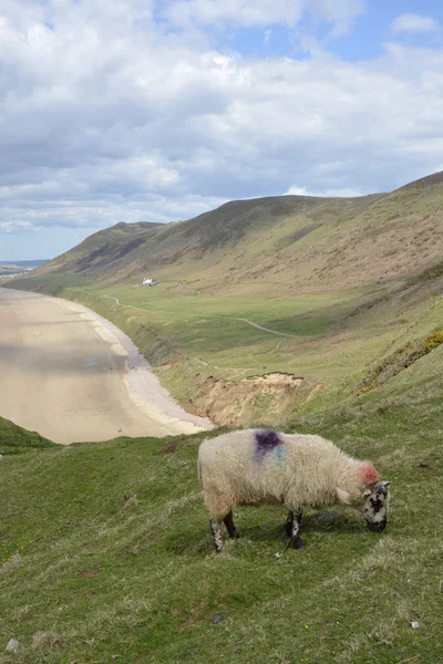 Rhossili bay auf der gower halbinsel, wales, uk — Stockfoto