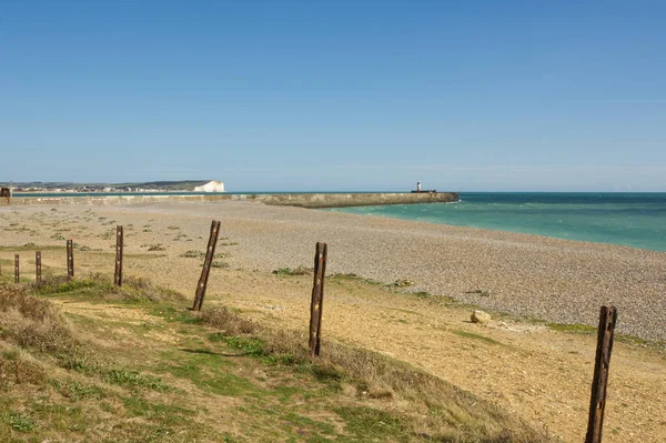 Bälgstrand Och Hamnarm Newhaven East Sussex England — Stockfoto