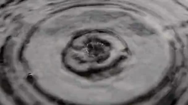 Woda Kapie Czarnej Patelni Tworząc Fale — Wideo stockowe