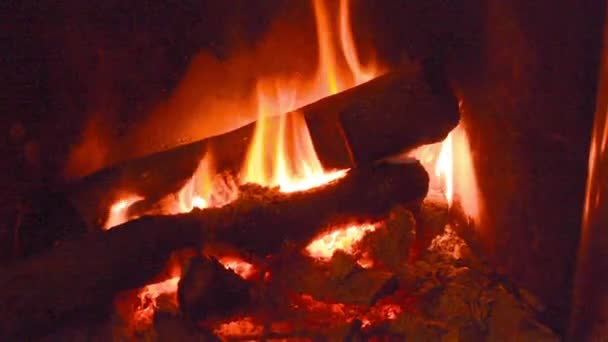 Log Wood Fire Burning Household Grate Zooming Slowly — Stock Video