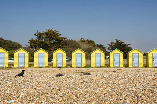 イングランドのウェストサセックス州リトルハンプトンの海辺にあるカラフルな黄色と青のビーチ小屋 カラスを帯状に — ストック写真