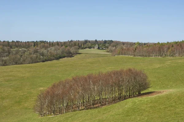 Arundel Park West Sussex Inglaterra Vale Árvores — Fotografia de Stock