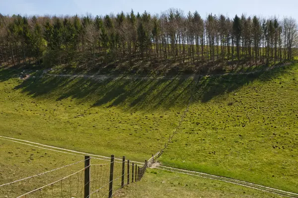 Caminhos Arundel Park West Sussex Inglaterra Vales Árvores — Fotografia de Stock