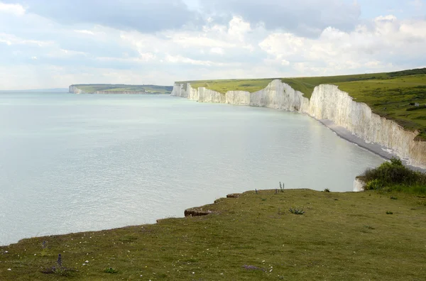 Tebeşir kayalıklarla sussex. İngiltere — Stok fotoğraf