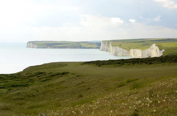 Tebeşir kayalıklarla sussex. İngiltere — Stok fotoğraf