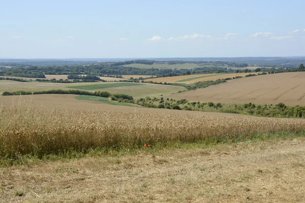 Chilton'ın aşağı Winchester yakınındaki. İngiltere