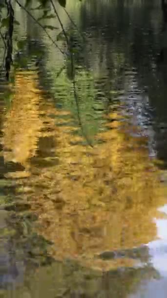 Reflejos de las hojas de otoño en el agua en movimiento — Vídeos de Stock