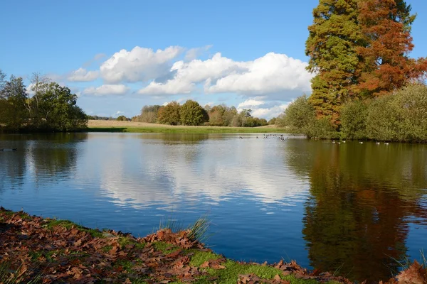 Lago em parque inglês — Fotografia de Stock