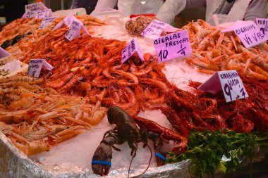 Central Market, Valencia, Ispanya. Kabuklu deniz ürünleri sayacı