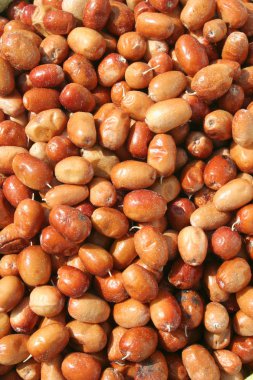 İğde meyve arka plan olarak