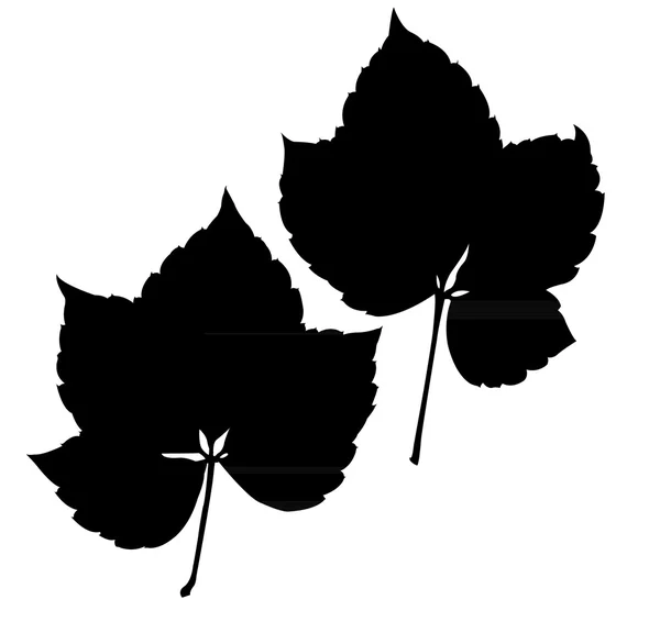 Leaves silhouette vector — Stock Vector