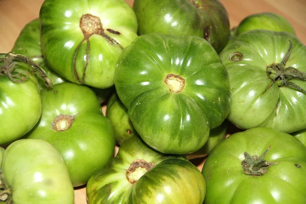 有機緑のトマト — ストック写真