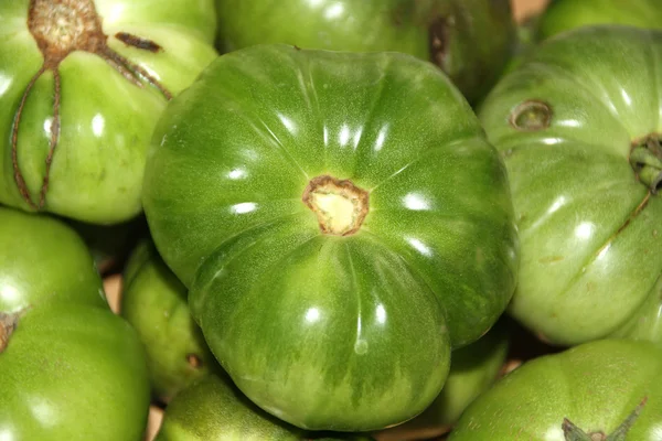 Organic green tomatoes — Stock Photo, Image