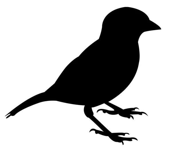 A sparrow silhouette vector — Stock Vector