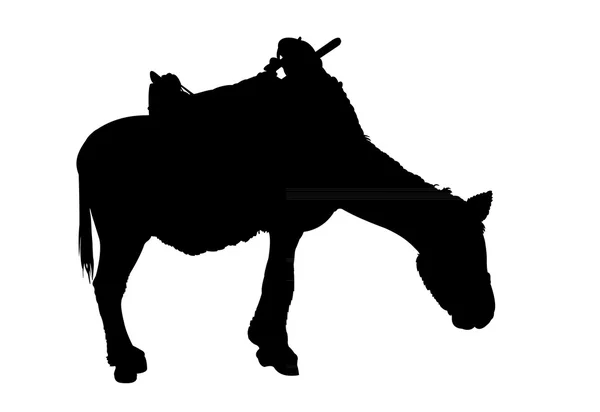 A donkey silhouette vector — Stock Vector