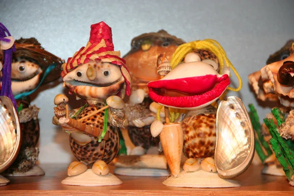 Decorative sea shells, objects at shelf — Stock Photo, Image