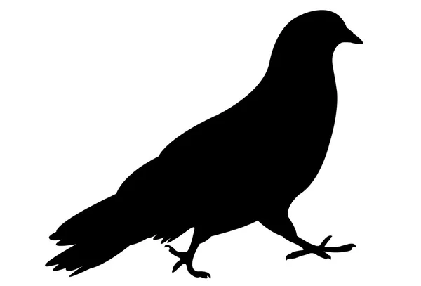 A pigeon silhouette vector — Stock Vector