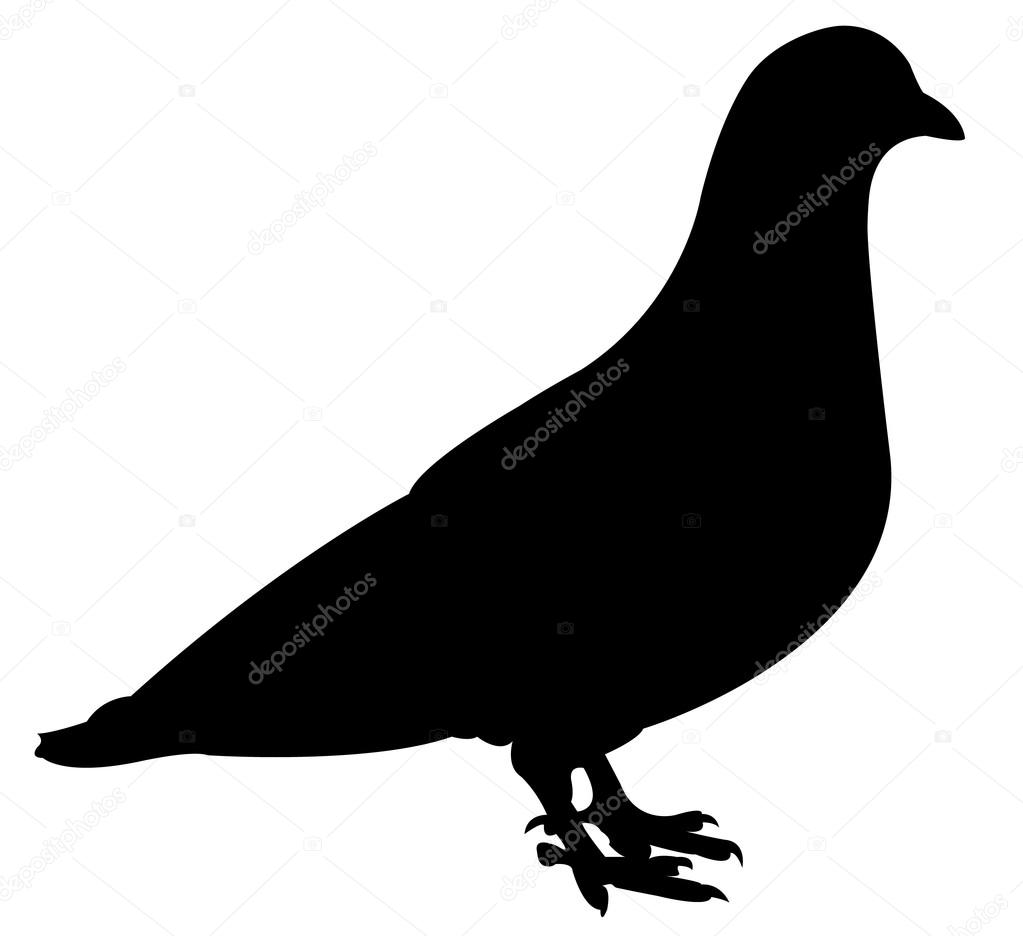 a pigeon silhouette vector