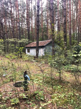 Sonbaharda ormanın derinliklerinde terk edilmiş bir turist evi. Dağlarda ve ormanda terk edilmiş üzgün bir ev. Bugün turistleri yağmurdan korumak için hizmet veriyor....