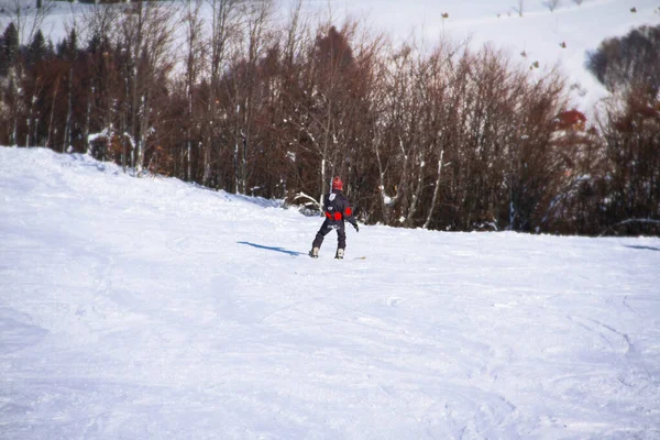 Muž Snowboardu Muž Černém Červeném Kostýmu Snowboardu Poblíž Jedlového Lesa — Stock fotografie