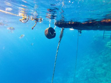 İskeleye bağlı araba lastiği, su altında bir halat, mavi lagün, sualtı manzarası, Sharm El Sheikh, Mısır