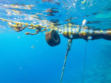 İskeleye bağlı araba lastiği, su altında bir halat, mavi lagün, sualtı manzarası, Sharm El Sheikh, Mısır