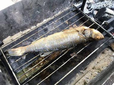 Mangal üzerine füme balık (barbekü). Tütsülenmiş balık. Yiyecek endüstrisi. Ev yapımı yemek..