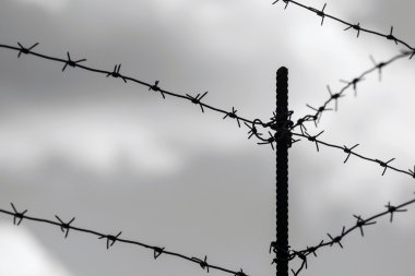 bulutlu gökyüzü karşı bir dikenli tel üzerinden Tasarla
