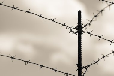 bulutlu gökyüzü karşı bir dikenli tel üzerinden Tasarla