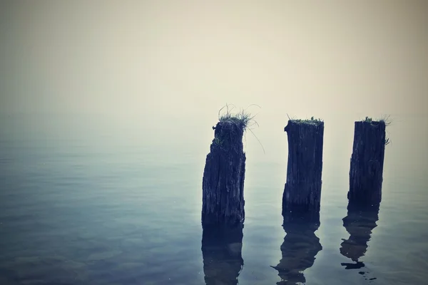 Tres viejos rastros de madera sobresalen del agua de mar — Foto de Stock