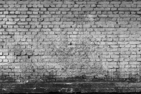 Brick textured background or wallpaper of monochrome gray color — Stock Photo, Image