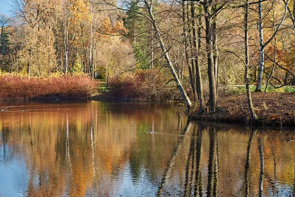 Hermoso Paisaje Otoñal Con Reflejo Árboles Agua Lago Estanque Río —  Fotos de Stock