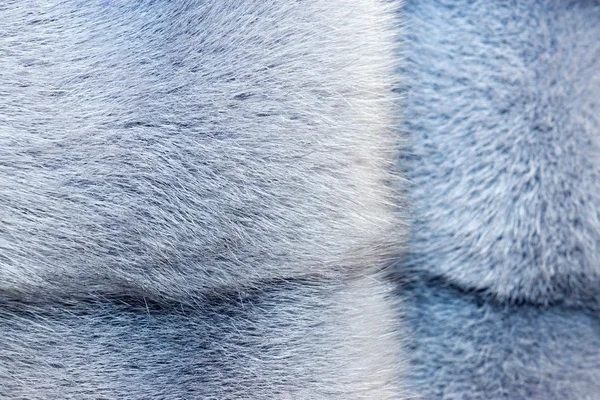 Tekstury od futro szaro niebieski kolor — Zdjęcie stockowe