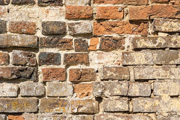 Serf brick wall — Stock Photo, Image