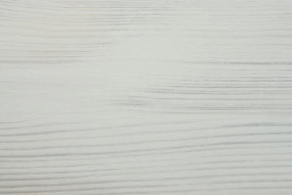 Abstrakte Textur eines weißen Baumes — Stockfoto