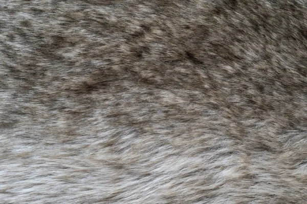 Shaggy abstract texture of wolf fur — Stock Photo, Image