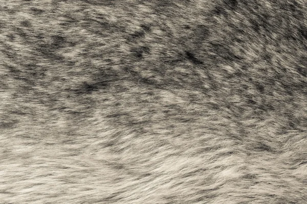 Texture morbida astratta di pelo selvatico beige — Foto Stock