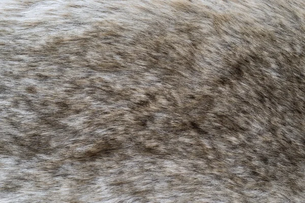 Abstract texture imitation of old wolf fur — Stock Photo, Image