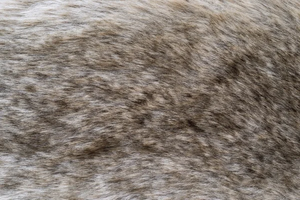 Texture astratta imitazione di pelliccia — Foto Stock
