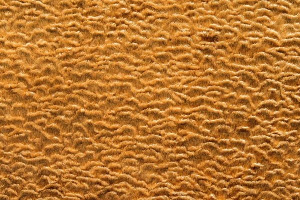 Texture short-haired fur fabric of golden color — Stock Photo, Image